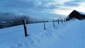 Foto: Brit Kari Urdal